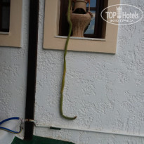 фото из отзыва ID 2120355