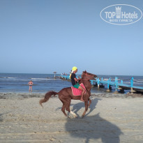 фото из отзыва ID 2120357