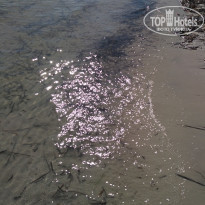 фото из отзыва ID 2120357