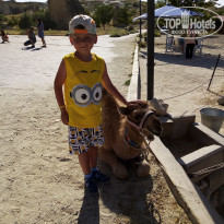 фото из отзыва ID 2120756