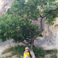 фото из отзыва ID 2120756