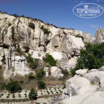 фото из отзыва ID 2120756