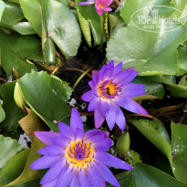 фото из отзыва ID 2120294