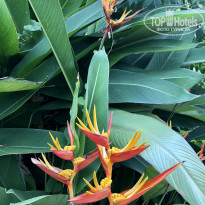 фото из отзыва ID 2120294