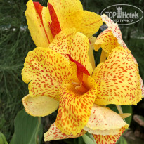 фото из отзыва ID 2120294