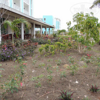 фото из отзыва ID 2120884