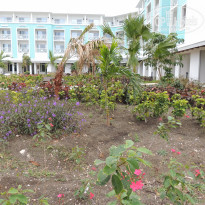 фото из отзыва ID 2120884