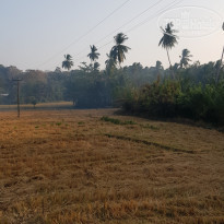 фото из отзыва ID 2120922