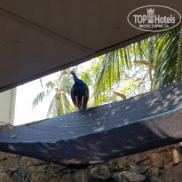 фото из отзыва ID 2120922