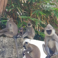 фото из отзыва ID 2120922