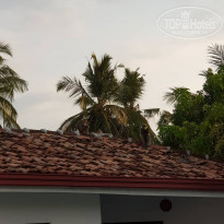 фото из отзыва ID 2120922