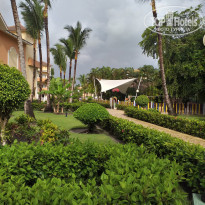 фото из отзыва ID 2120925