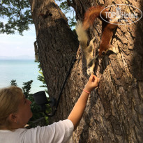 фото из отзыва ID 2120976