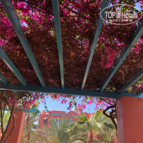 фото из отзыва ID 2121176