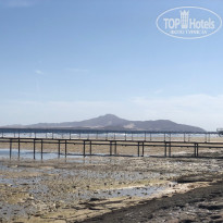 фото из отзыва ID 2121176