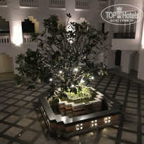 фото из отзыва ID 2121204