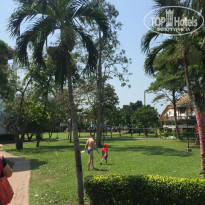 фото из отзыва ID 2121251