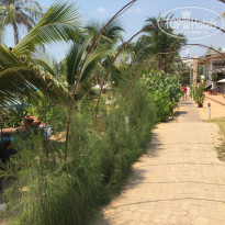 фото из отзыва ID 2121251