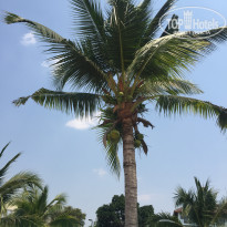 фото из отзыва ID 2121251