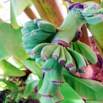 фото из отзыва ID 2121288