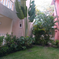 фото из отзыва ID 2121338