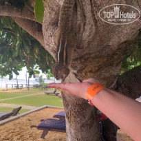 фото из отзыва ID 2121524