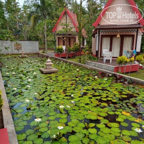 фото из отзыва ID 2121533