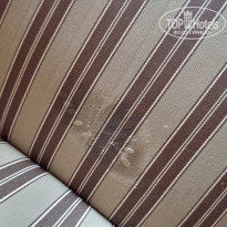 фото из отзыва ID 2121535