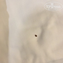 фото из отзыва ID 2121545