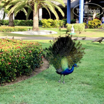 фото из отзыва ID 2120760