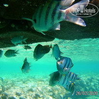 фото из отзыва ID 2121615