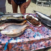 фото из отзыва ID 2121641