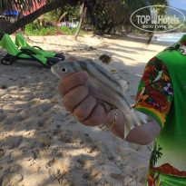 фото из отзыва ID 2121658