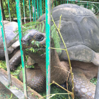 фото из отзыва ID 2121658