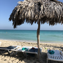 фото из отзыва ID 2121681