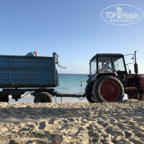 фото из отзыва ID 2121681