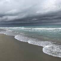 фото из отзыва ID 2121681