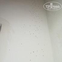 фото из отзыва ID 2121756