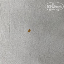 фото из отзыва ID 2121773