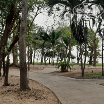 фото из отзыва ID 2121828