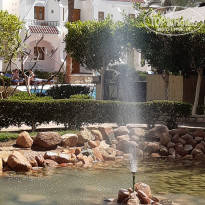 фото из отзыва ID 2121840