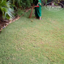 фото из отзыва ID 2121890