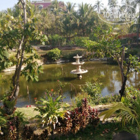 фото из отзыва ID 2120876