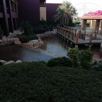 фото из отзыва ID 2121992