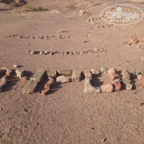 фото из отзыва ID 2121860