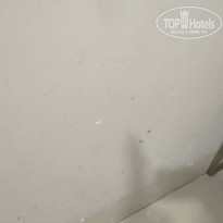 фото из отзыва ID 2122120