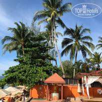 фото из отзыва ID 2122182