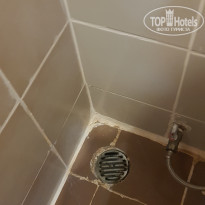 фото из отзыва ID 2122236