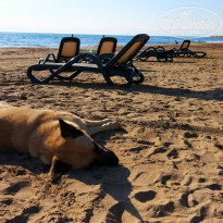 фото из отзыва ID 2122517