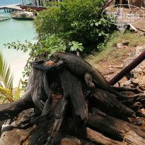 фото из отзыва ID 2122546